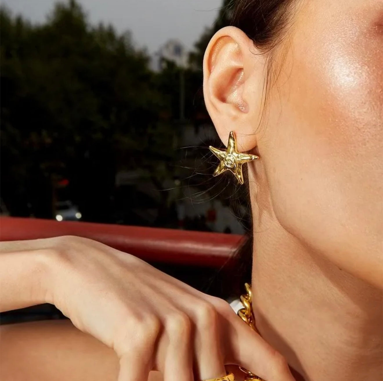 Aretes Estrella de Mar