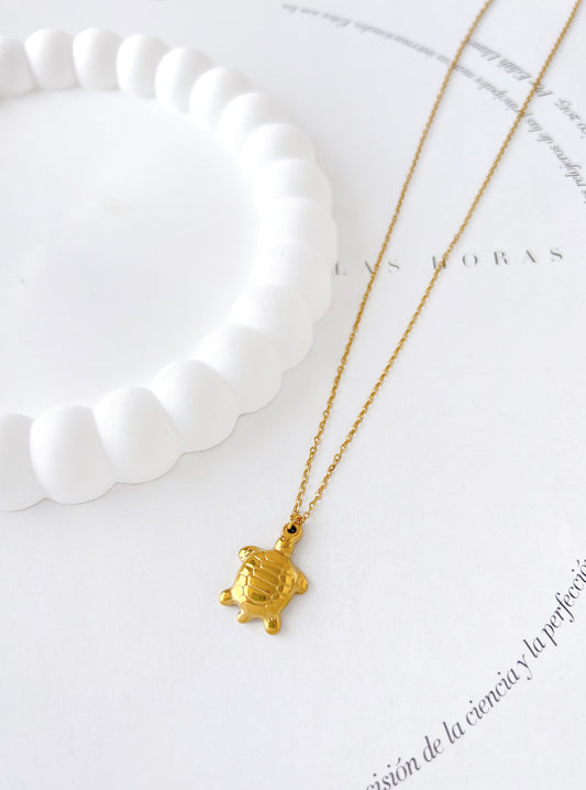 Collar Tortuga