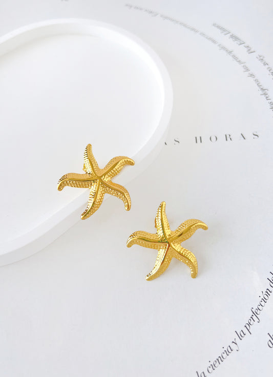 Arete Estrella Marina
