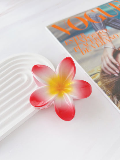 Pinza Hawaiana para Cabello