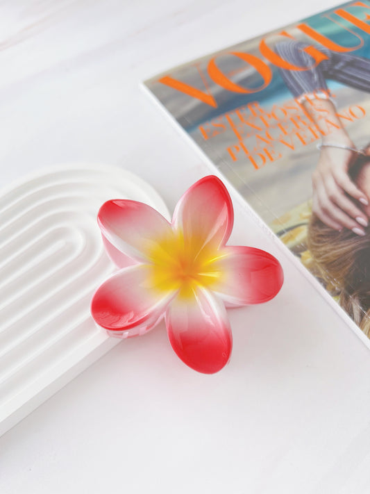 Pinza Hawaiana para Cabello