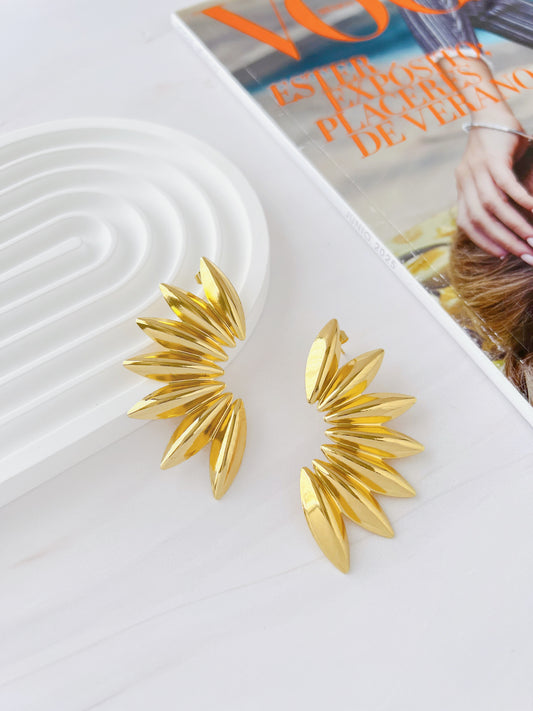 Aretes Picos