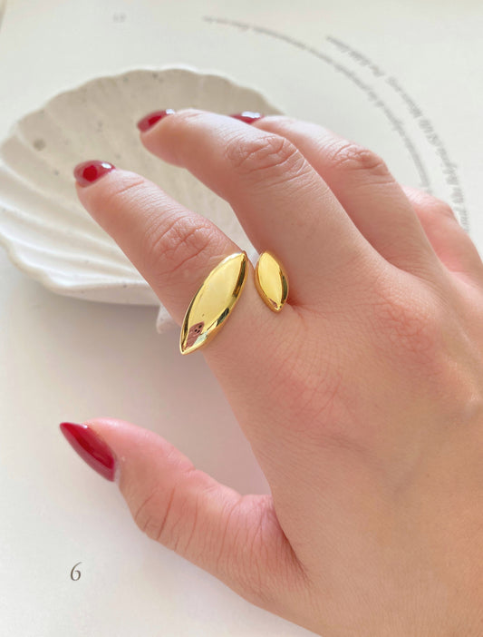 Anillo Óvalos